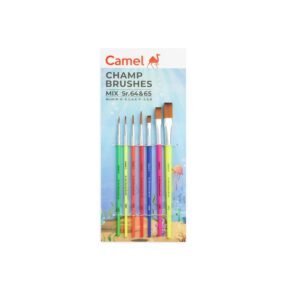 Brush Set - Camlin (6 pcs)